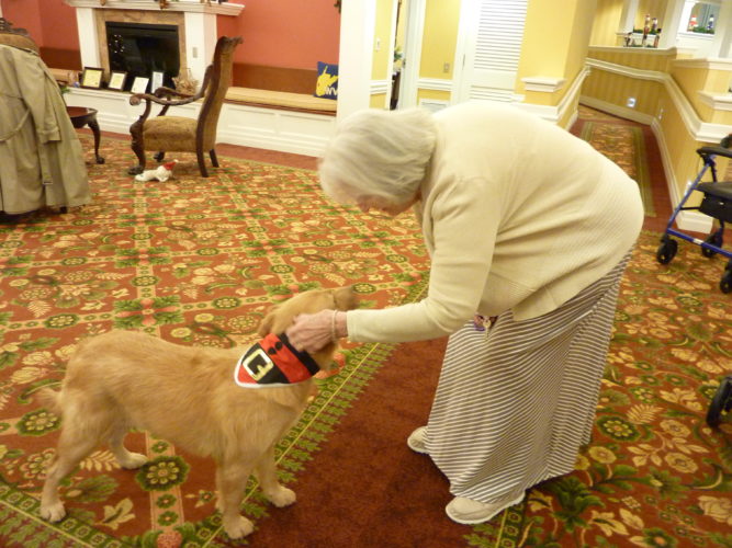 Elmhurst Welcomes Its First Canine Resident
